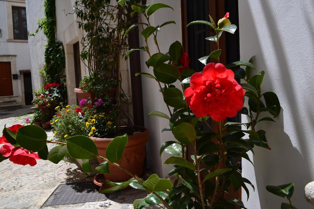 Santo Stefano Bed and Breakfast Putignano Buitenkant foto